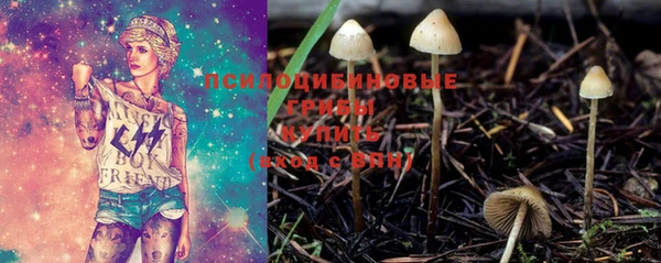 бошки Балахна