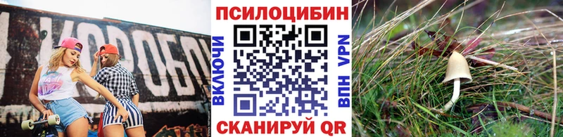 где купить наркотик  Барыш  Галлюциногенные грибы Magic Shrooms 